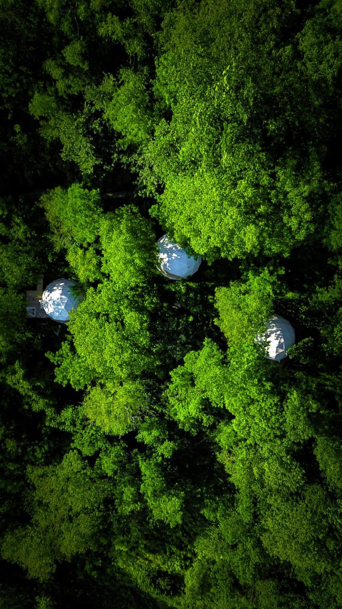 Wine Space Ambrolauri Exteriér fotografie